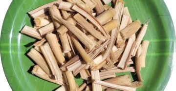 Palmyra Sprout Tuber Boiled & Dried(Odiyal)